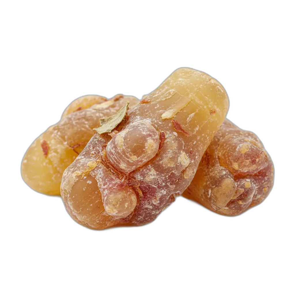 Boswellia serrata — soutien naturel pour le bien-être des articulations